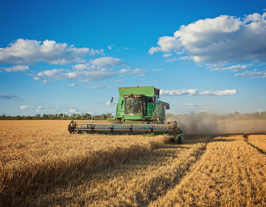 harvesting-combine-field